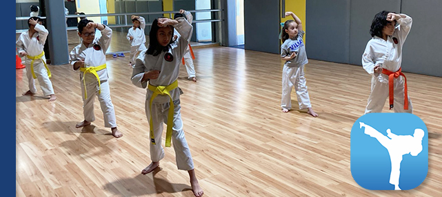 Karate Villa Educativa y VH