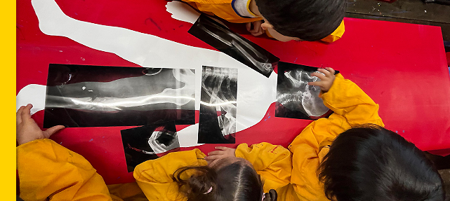 K2: Discovering Our Body