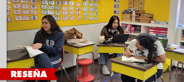 Consejo técnico y capacitación