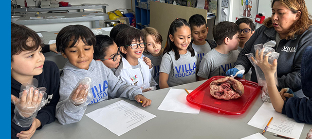 3o: Exploring the Heart: A Hands-On Learning Experience